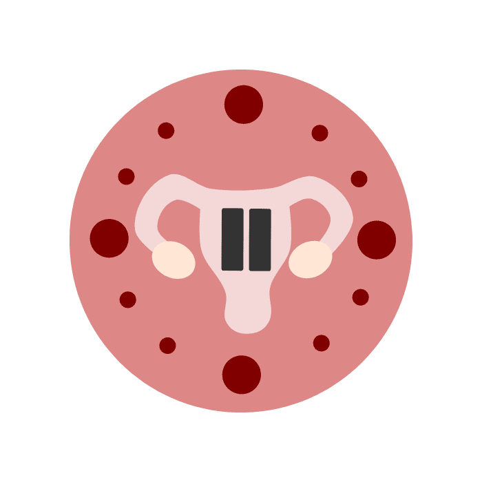 Illustration of human reproductive system, uterus icon.